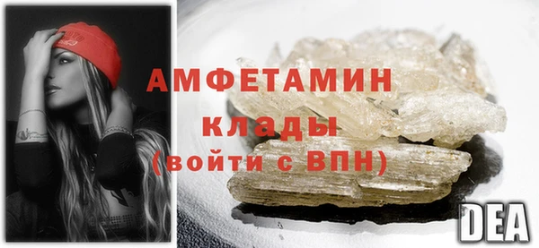 индика Новодвинск