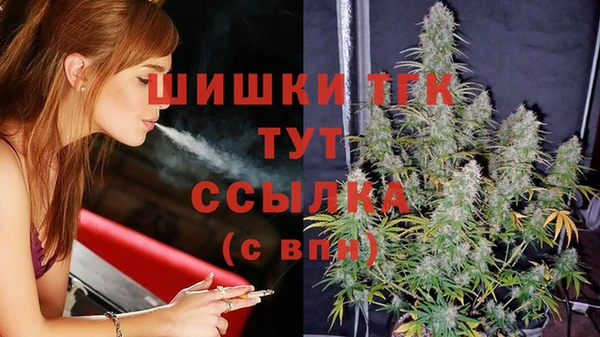 PSILOCYBIN Новозыбков