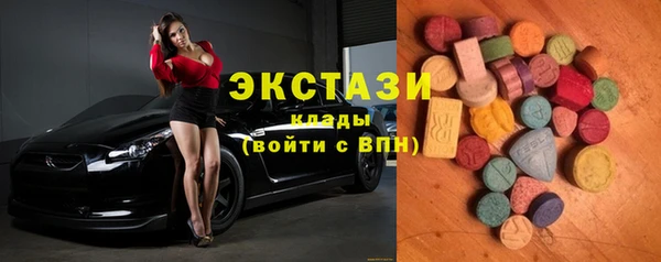 индика Новодвинск