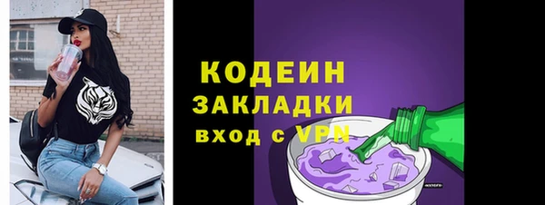 индика Новодвинск