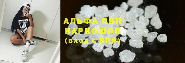 PSILOCYBIN Новозыбков