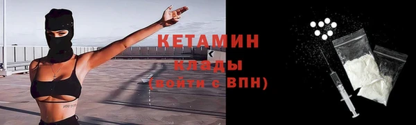 индика Новодвинск