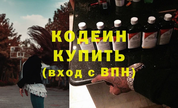 индика Новодвинск