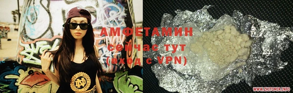 индика Новодвинск
