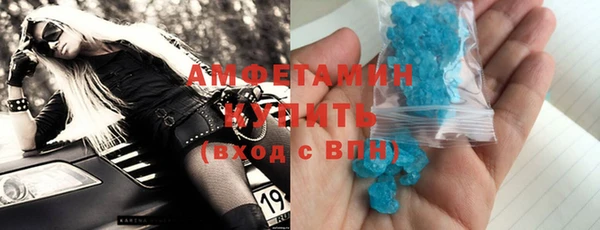 индика Новодвинск