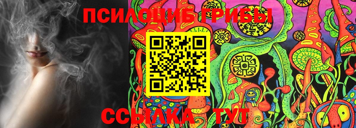 Псилоцибиновые грибы Cubensis Надым