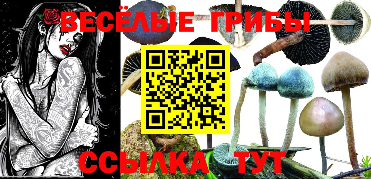 Галлюциногенные грибы MAGIC MUSHROOMS  Вход с VPN  где продают наркотики  Надым  Галлюциногенные грибы Cubensis 
